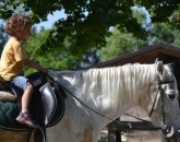 bambino a cavallo